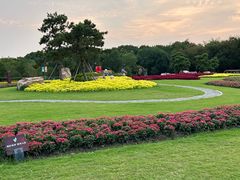 -狼山风景名胜区