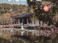 -司徒庙