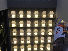 -line friends(明洞旗舰店)
