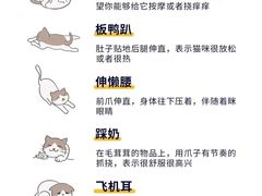 -瑞鹏宠物医院·骨外科·心肾科·肿瘤科(九亭店)