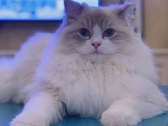 -美迦爱-牙专科·兔科·骨科诊疗中心(北苑店)