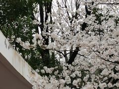 -幕燕滨江·长江观音景区