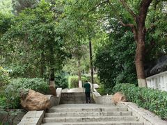 -北极阁公园