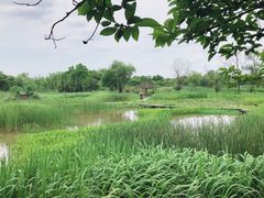 -西溪国家湿地公园