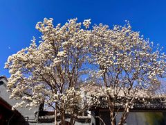 -北京石刻艺术博物馆(五塔寺)