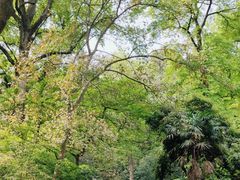-岳麓山风景名胜区