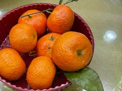 -紫藤园·天目湖大鱼头(南山竹海店)