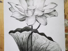 -黑骏画室·深圳美术中高考黄埔军校