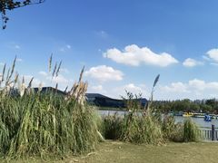 -上海长兴岛郊野公园