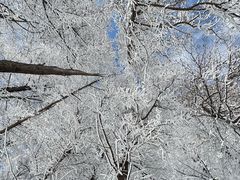 -密苑云顶乐园(云顶滑雪场)