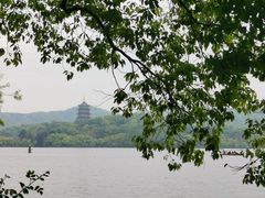 -西湖外事游船(花港观鱼码头)