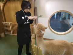 -藦茜花园宠物主题亲子互动体验馆(国顺东路店)