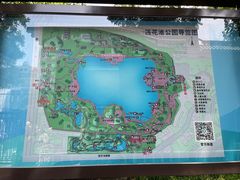 -莲花池公园