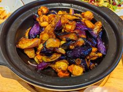 -普天和酒楼·新津菜·烤鸭(天津之眼店)