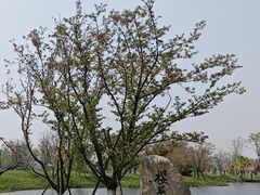 -良渚古城遗址公园