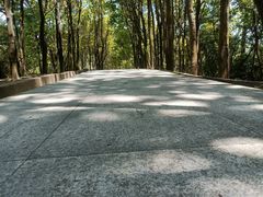 -火炉山森林公园