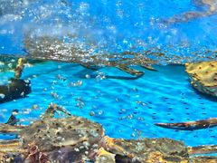 -蟹之国·精品蟹料理(极地店)