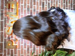 小p老师-pstyle造型(五道口梦想店)-P.STYLE 派斯造型