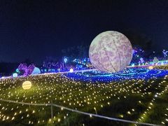 -海上田园
