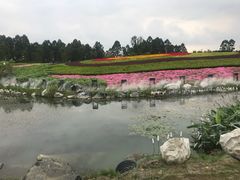 -天府芙蓉园