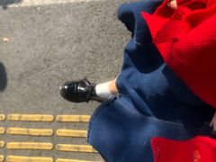 -杭州黄龙洞