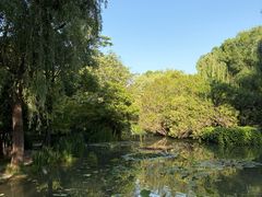 -洛阳市隋唐城遗址植物园