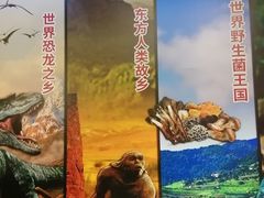 -北京周口店北京人遗址博物馆