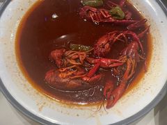 -杨氏青龙虾·羊蝎子(托乐嘉店)