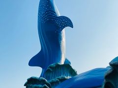 -珠海长隆海洋王国