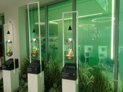 -安利上海体验馆