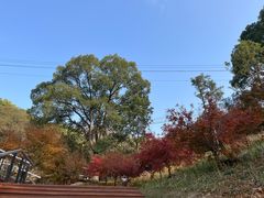 -岳麓山风景名胜区