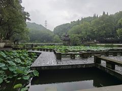 -忠山公园