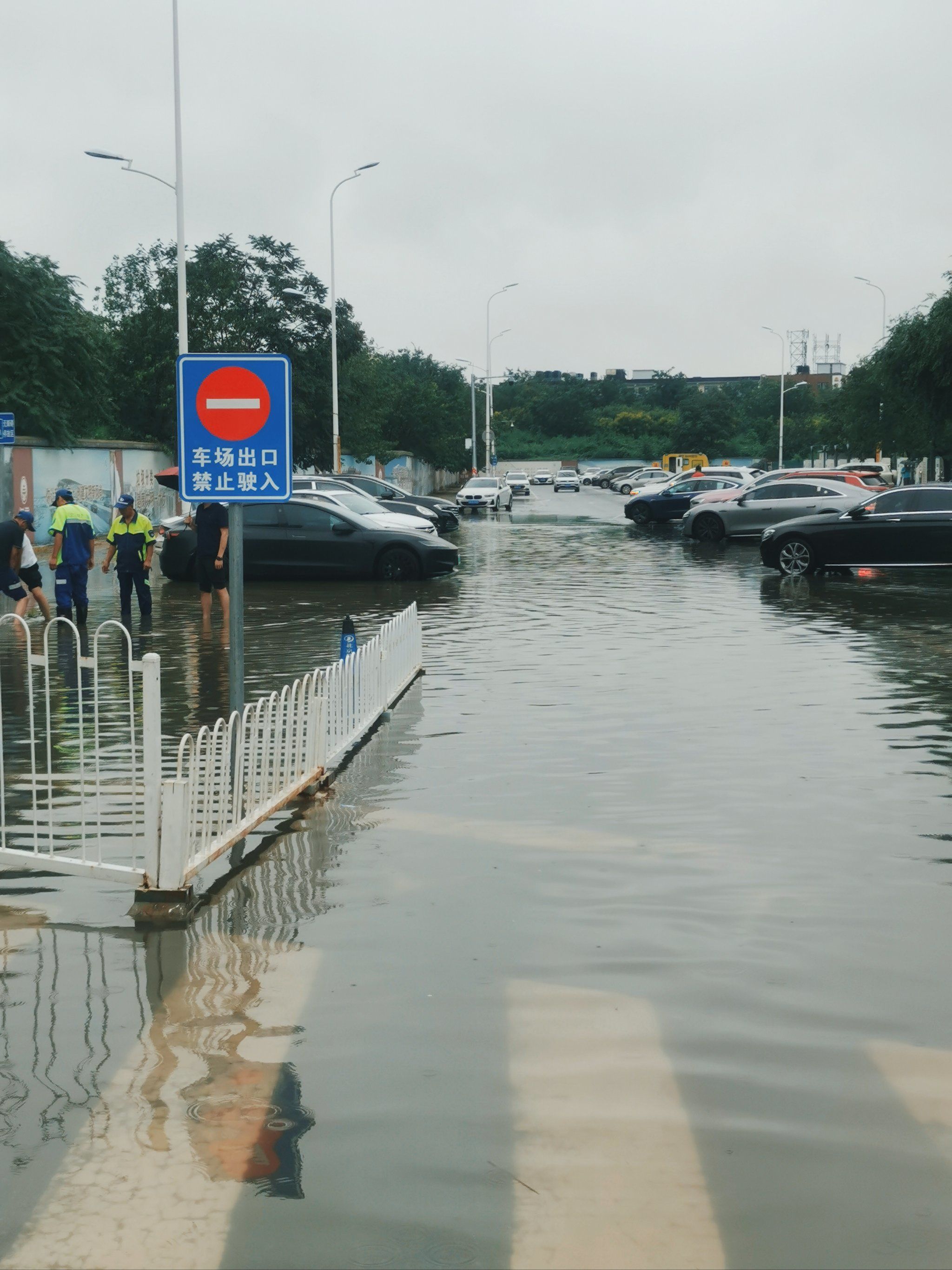 今天这雨是真大啊,下水道堵的,封路的,公交车改道