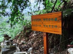 -寂照庵