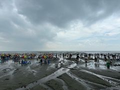 -江山半岛白浪滩景区