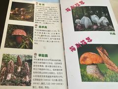 -太婆天府山珍酒楼(亚运村店)