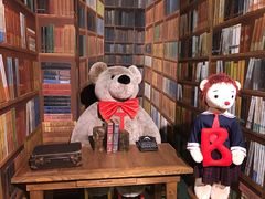 -济州岛泰迪熊博物馆