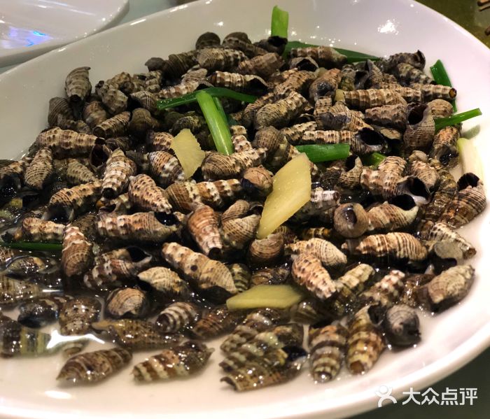 丽都海鲜大牌档(舟宿渡总店)雪汁海丝螺图片