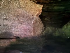 -寻龙山风景旅游区