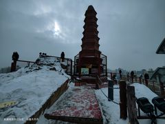 -特丰抓饭(莱茵庄园店)