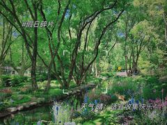 -上海共青森林公园