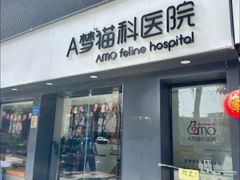 -御宝贝·A梦猫科宠物医院(国际猫友好医院)