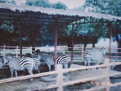 -西安秦岭野生动物园