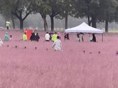 -汉长安城未央宫国家考古遗址公园