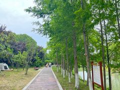 -柳鹭田园区