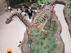 -辽宁古生物博物馆