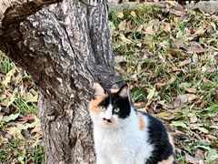 -元大都城垣遗址公园