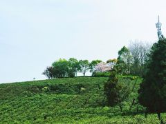 -南京市江宁方山