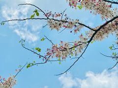 -白石龙音乐公园