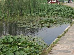 -前关湿地公园